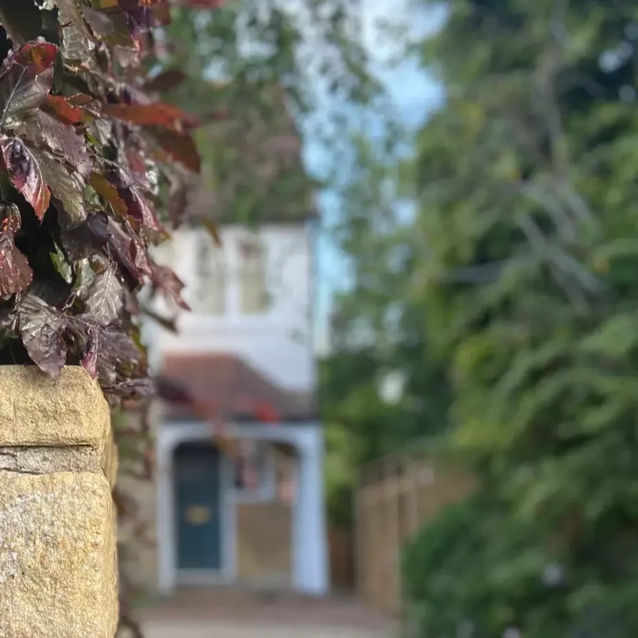 Garden view from extension
